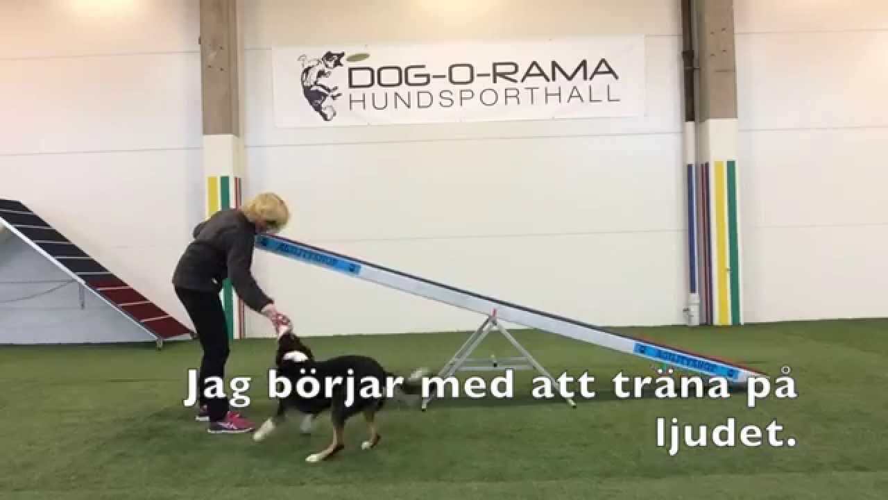 Träna gungan