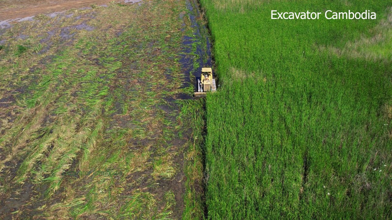 Amazing Landscape Bulldozer Working Cutting Plowing Grass On Water - Old Dozer Working Pushing Grass