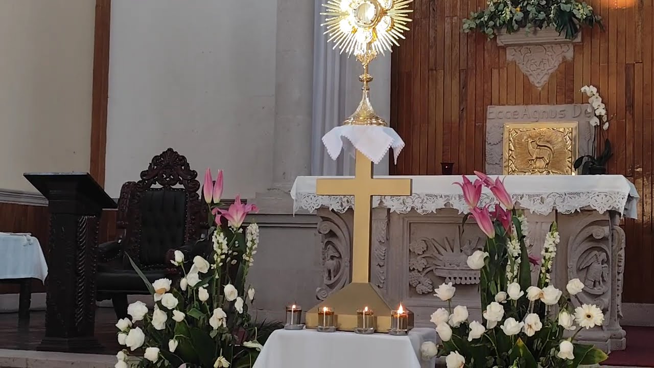 Hora Santa 29/Enero/2026#amor #santavirgen #virgenmaría #fe #paz #horasanta #adoración #misa #amen