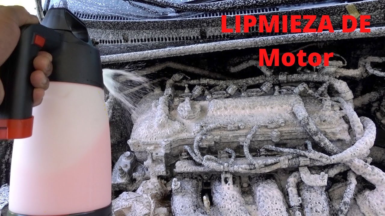 Lavado de Motor en un 2014 Toyota Corolla