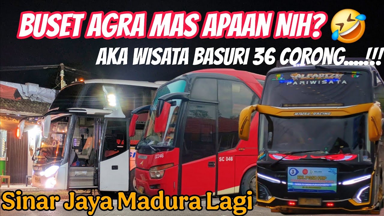 Agra Mas SR1, Sinar Jaya Madura⁉️ Hari Biasa Malah Banyak Bus Anomali‼️ 🤣