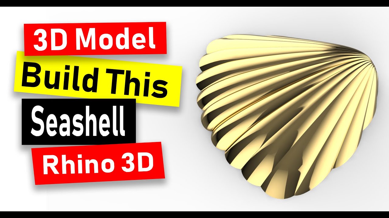 3D Modeling Sea Shell in Rhino 6: Jewelry CAD Design Tutorial#102