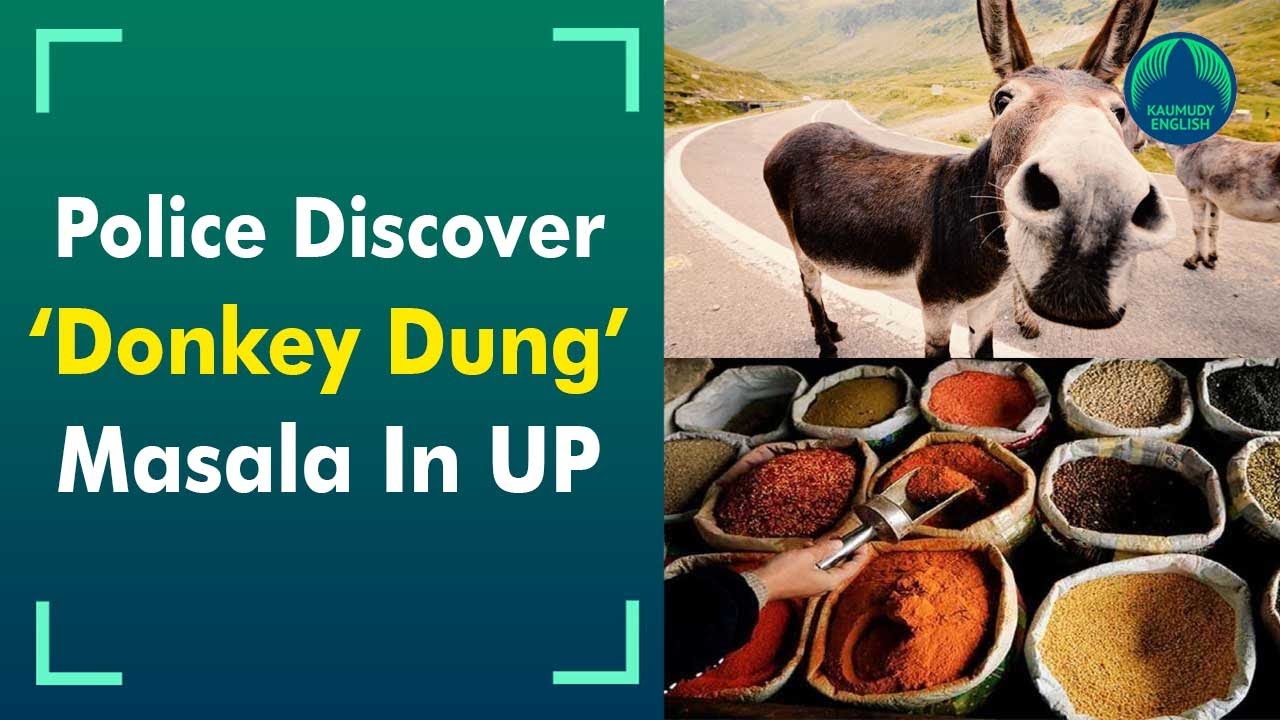 Spices made out of donkey dung discover in UP factory