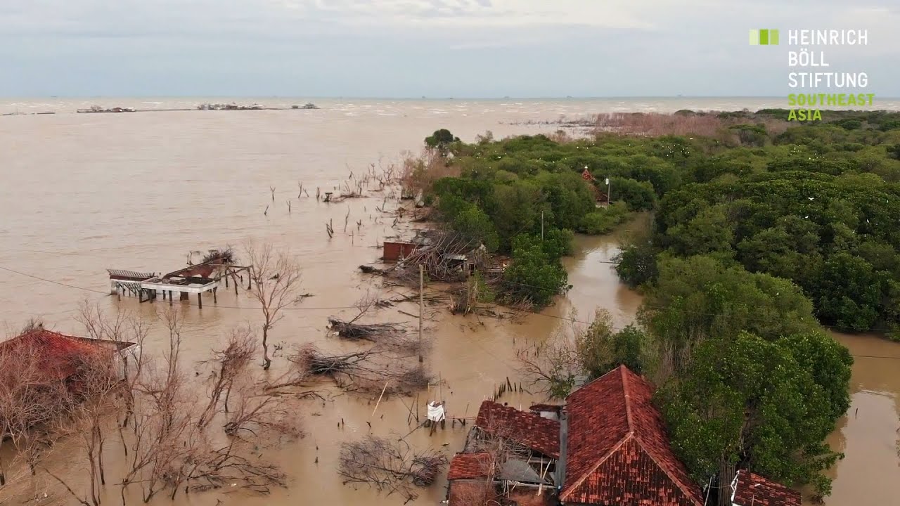 Fightback Sea Abrasion: Adapting to Climate Change in Central Java
