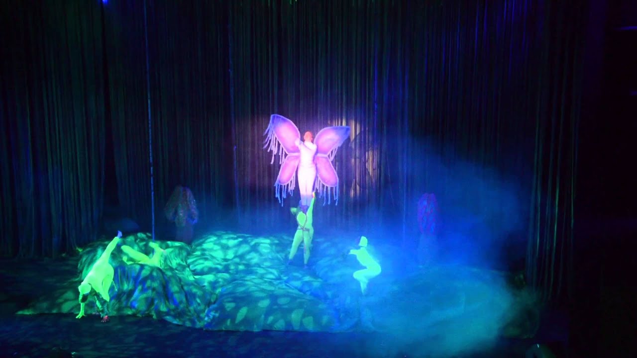 Tarzan UW Fox Theatre 2014 - ZFX Flying Effects