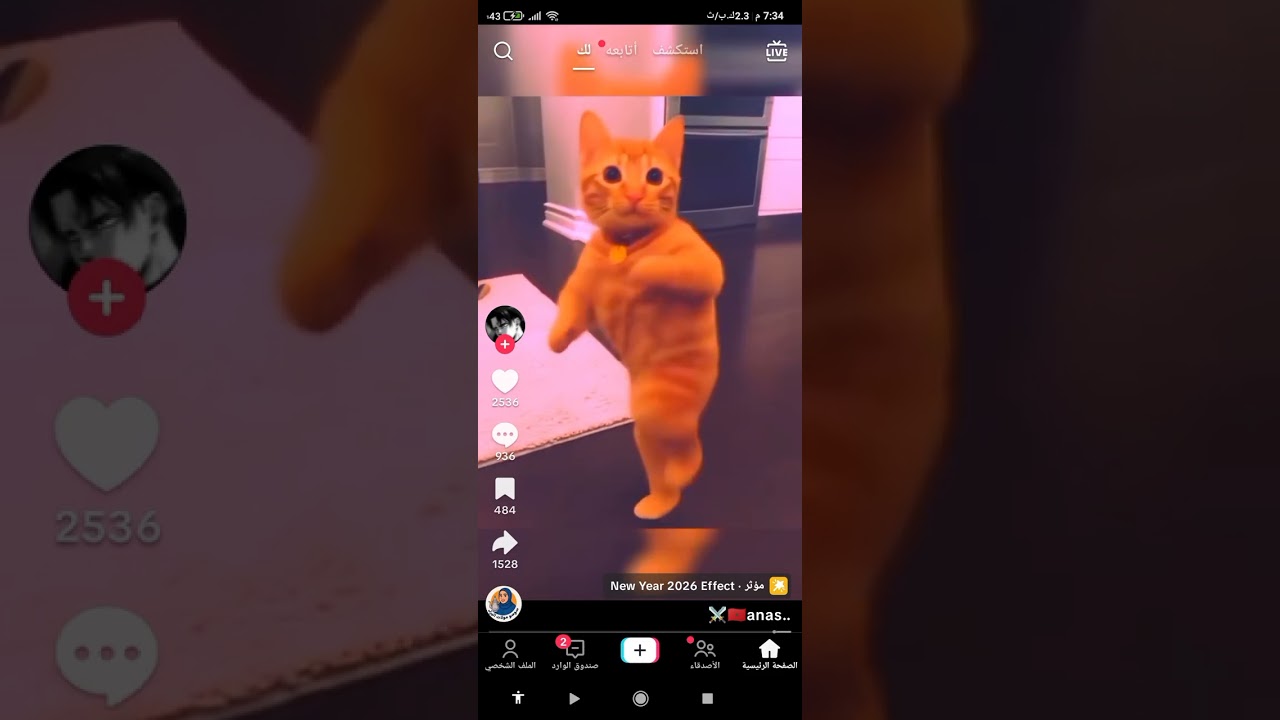 رد رده فعل على فيديوهات التيك توك 
