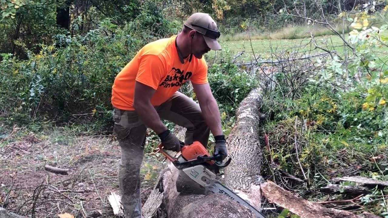 Cutting and Hauling Ash