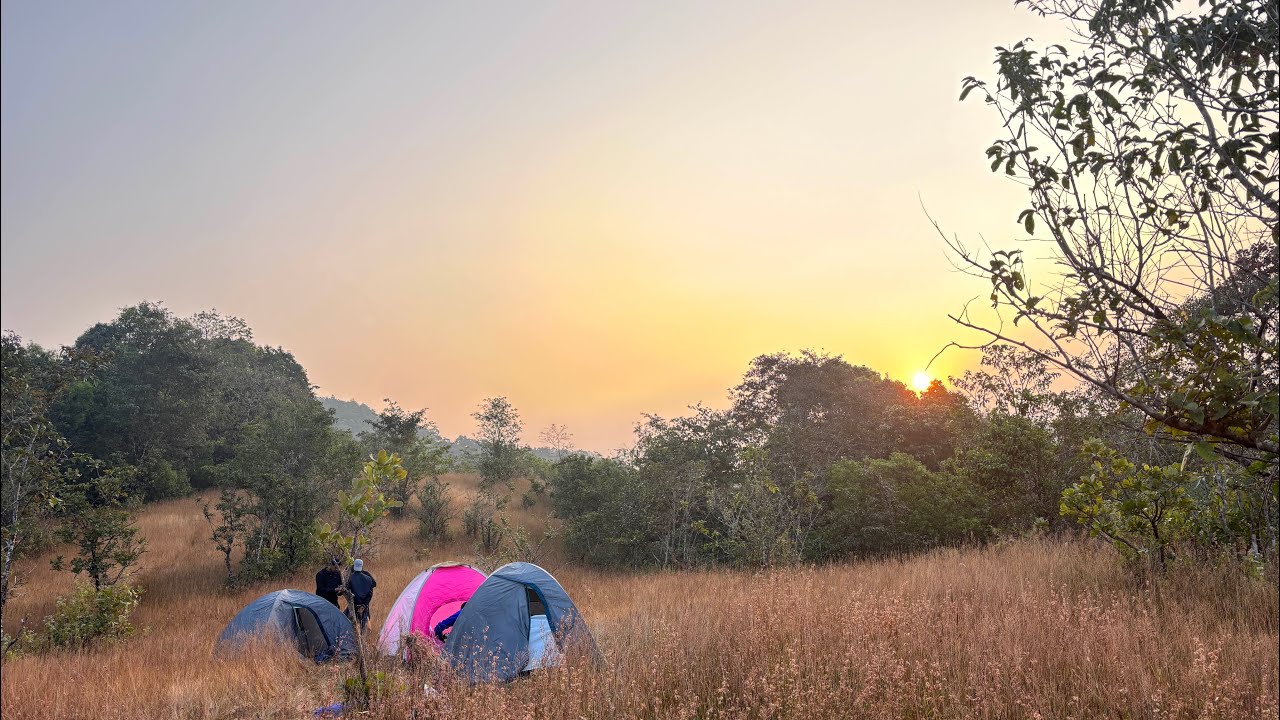 Namma night camping ge | 🐂kaati attack 