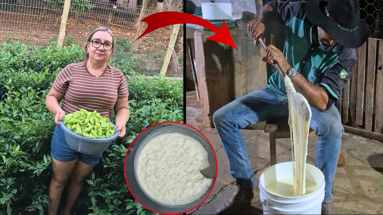 APÓS PROBLEMA DE SAÚDE MINHA MÃE FOI PARA FAZENDA, E TEVE MUITA FARTURA 😱