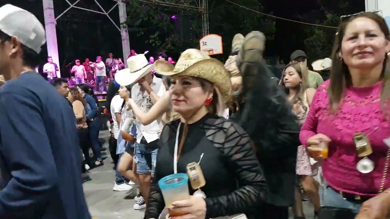 Carnaval Silacayoapam Oaxaca 2024 Segundo día por la tarde grupo Arlekin