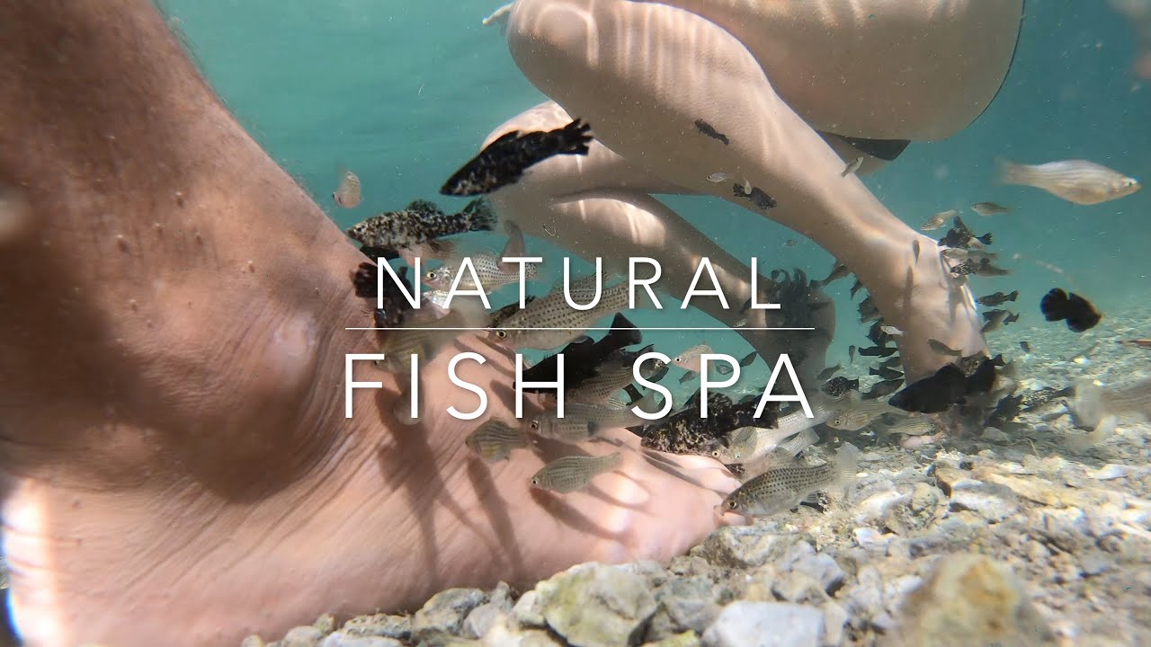 Natural Fish Spa