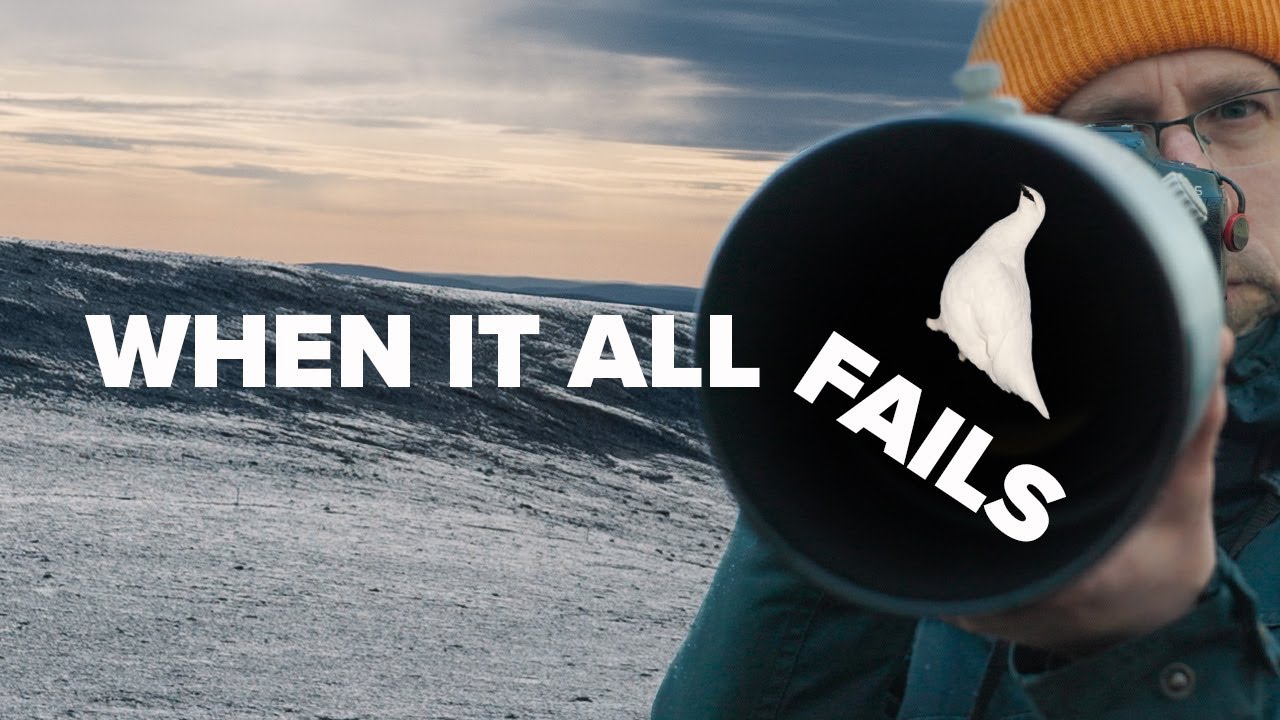 5 days of BIRD PHOTOGRAPHY in Lapland | Search for the Rock Ptarmigan