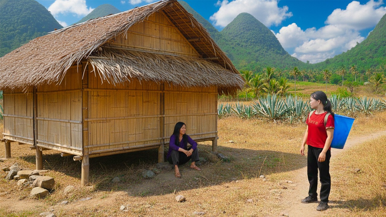 Single Mom Escaping the past to build a lonely bamboo hut in the wild - Ly Thi Sung Daily Life