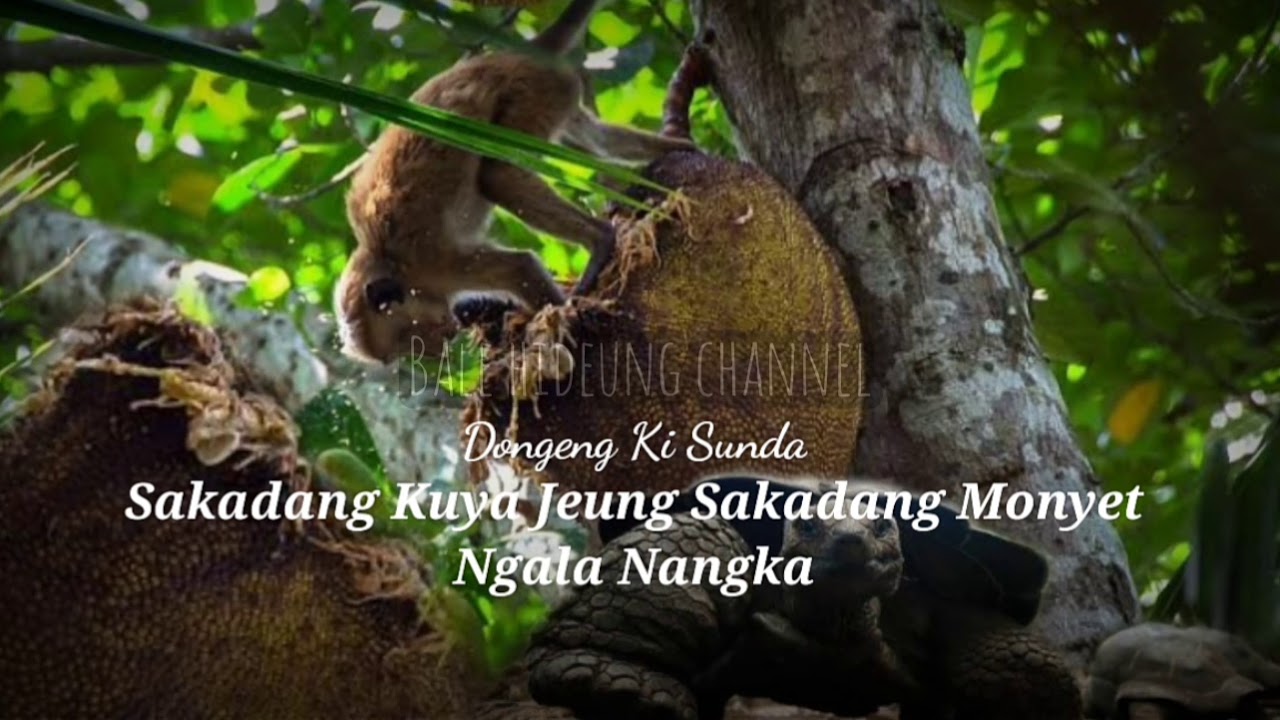 Sakadang Kuya Jeung Sakadang Monyet Ngala Nangka