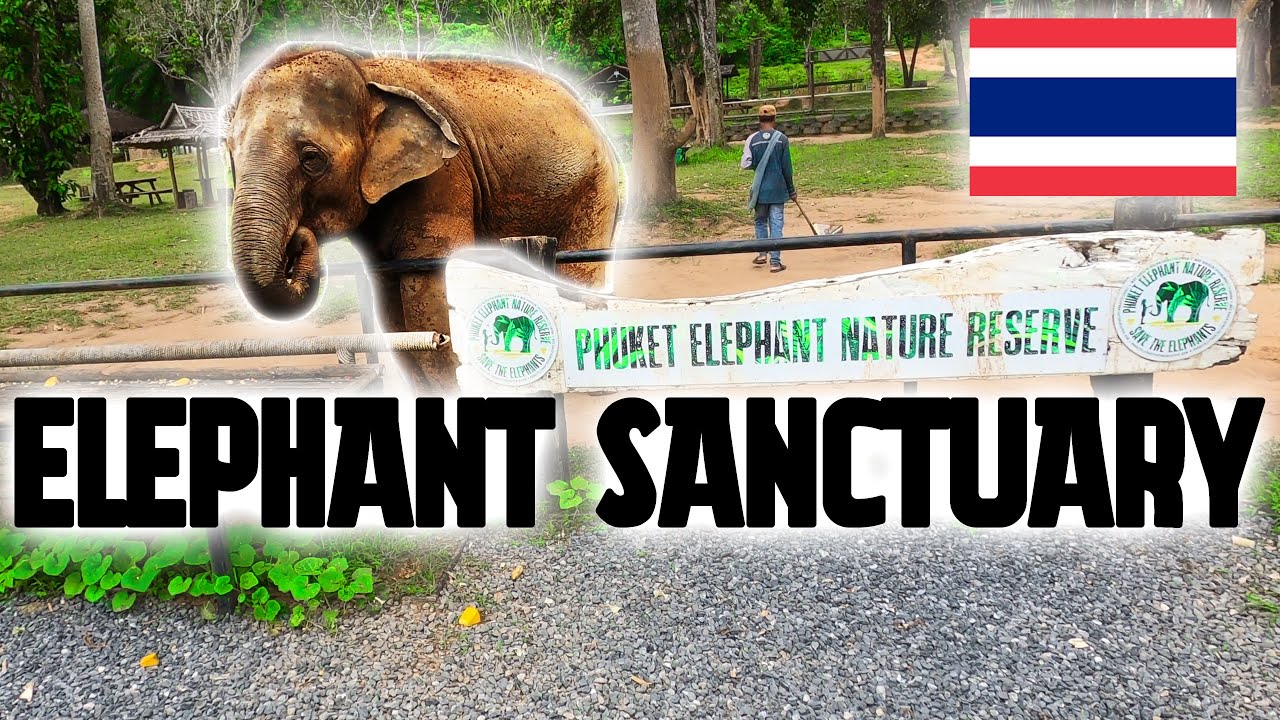 Visiting an Ethical Elephant Sanctuary in Phuket