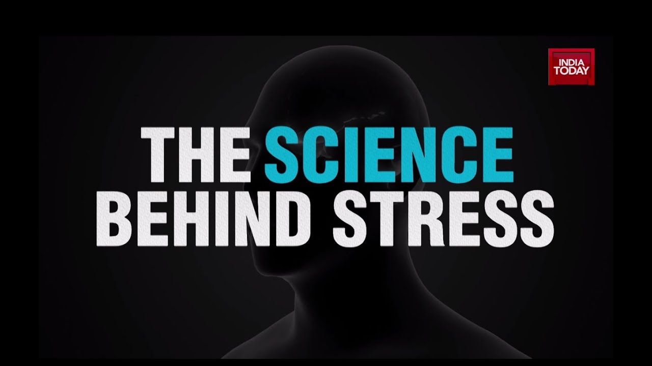 Stress Becoming The New Epidemic For 21st Century? | Health 360