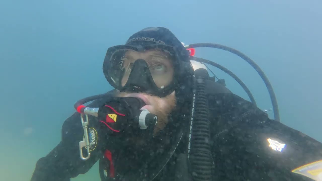 First gulf shore ocean dive
