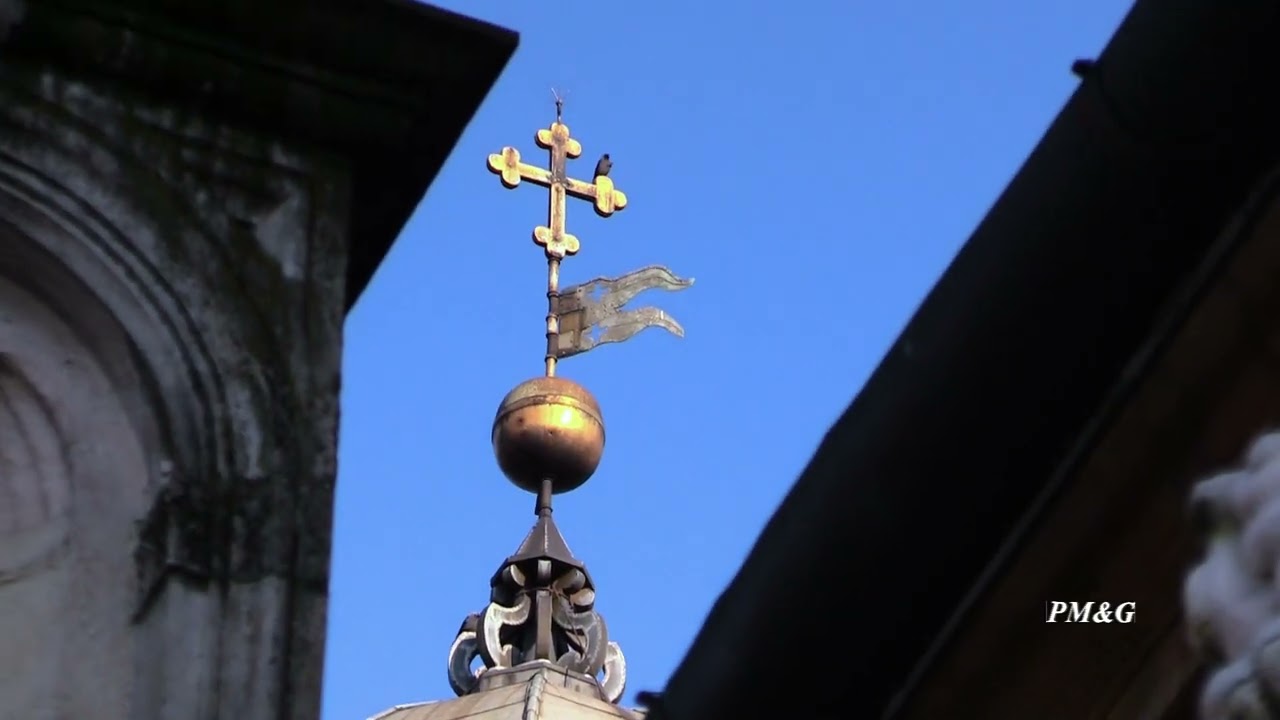 PAVIA LA CERTOSA