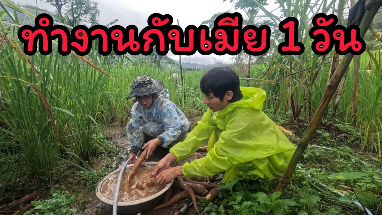แม้ว่าฟ้าร้อง ฝนตกหนัก เราก็หยุดทำงานไม่ได้ เมื่อเรายังมีชีวิตอยู่✌️- YUB AVERN