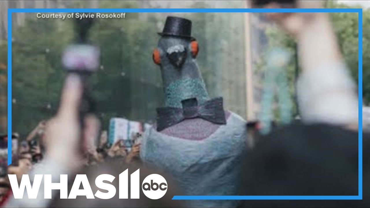 Pigeons take center stage at New York's 'Pigeon Fest'