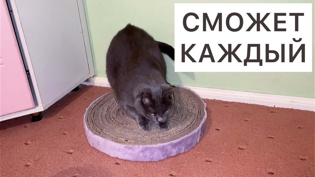 КОГТЕТОЧКА ИЗ КАРТОНА / Как сделать когтеточку? Напольная когтеточка. Когтедралка для кота