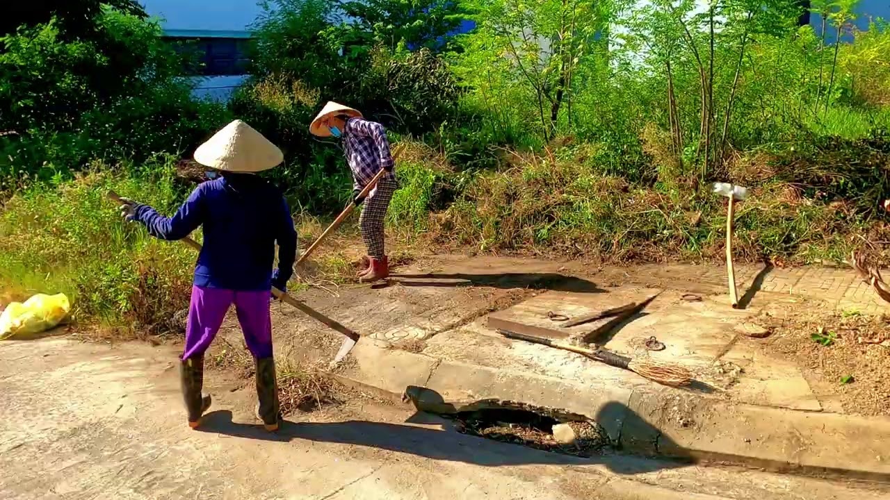 How We Rescued a Sidewalk Oasis from Overgrowth