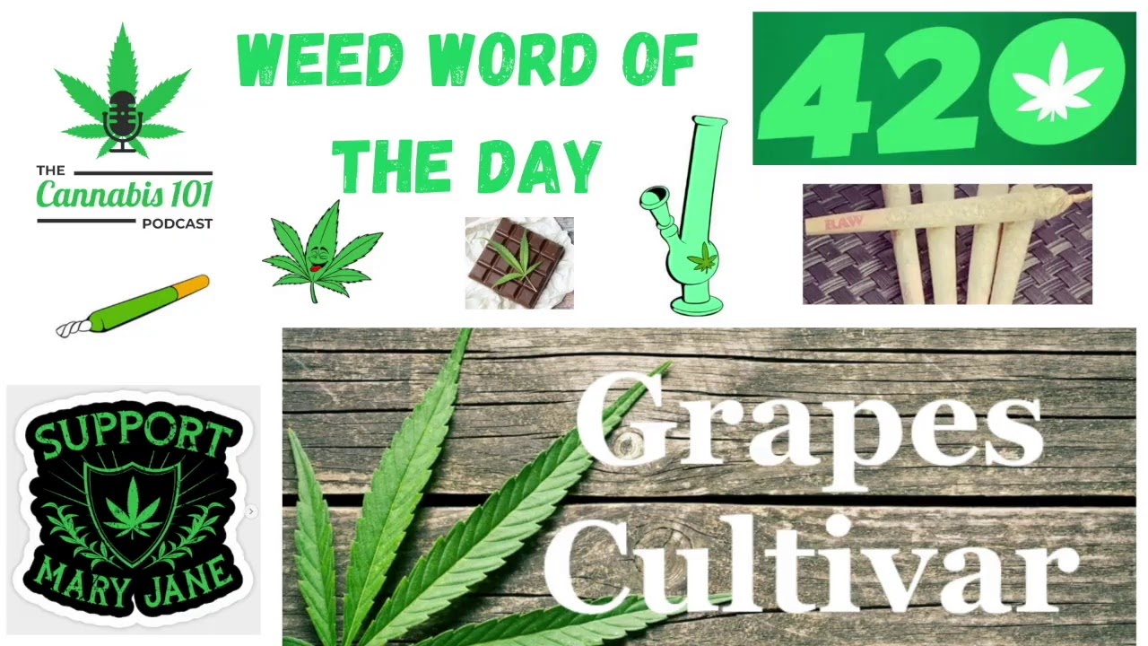 420 Friday Fun Episode 76 - Learn - Laugh - Win