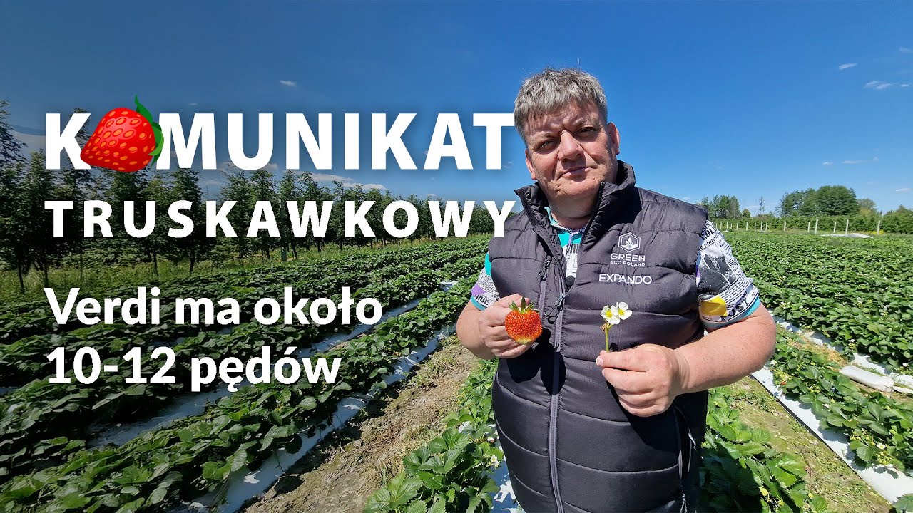 Verdi w Olszowej Woli - Komunikat truskawkowy - Zbyszek Marek