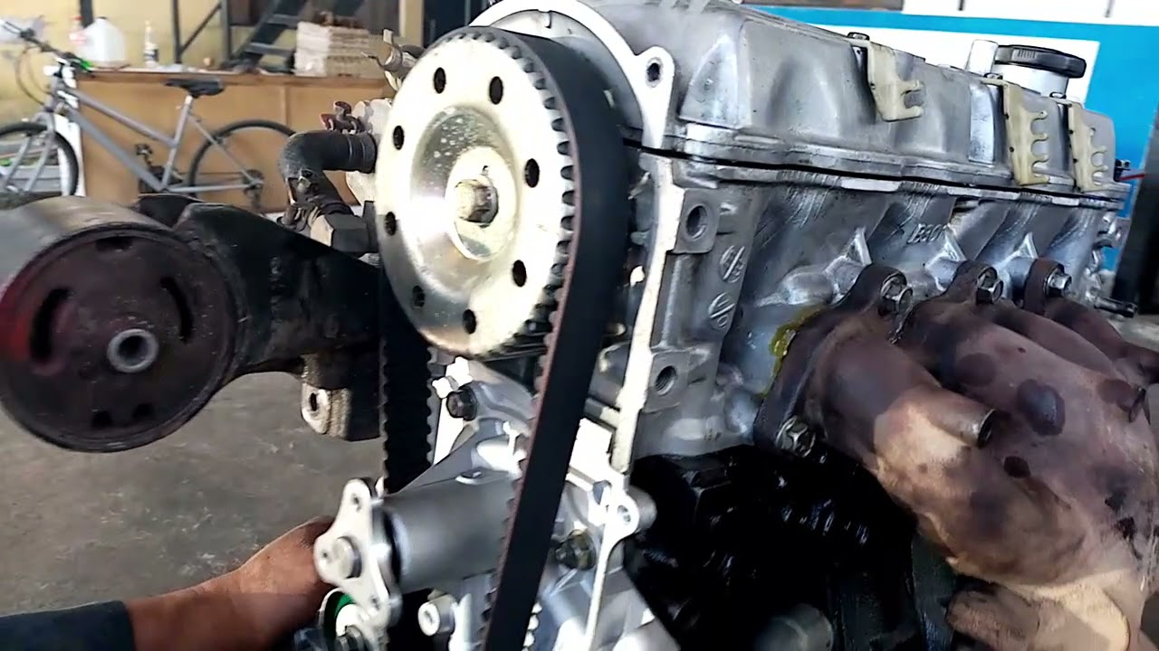 Correa de DISTRIBUCIÓN / Timing Belt / FORD FESTIVA 1995