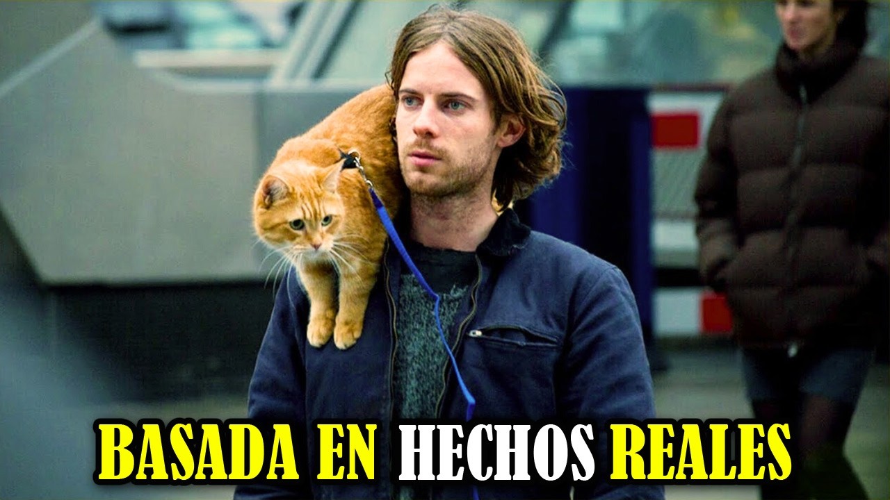 Era VAGABUNDO pero un GATO callejero lo hizo MILLONARIO | Un Gato Callejero llamado Bob | Resumen