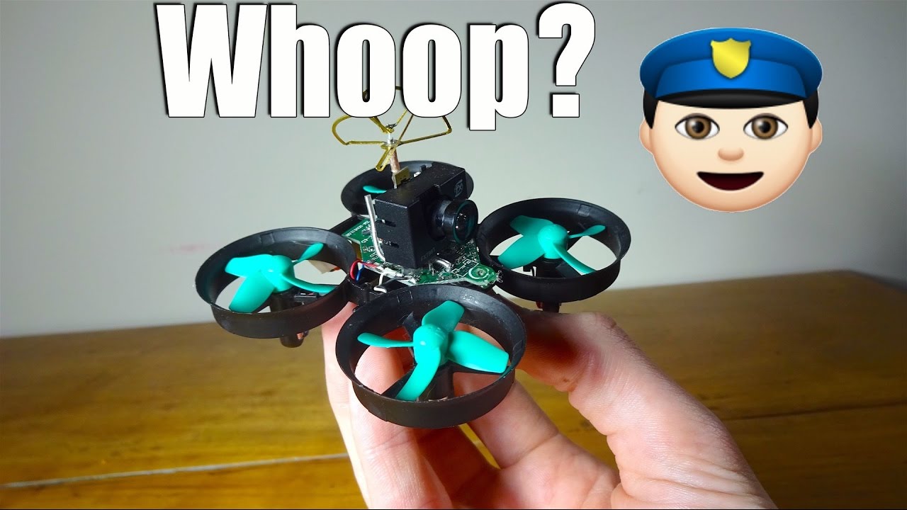 Will it Whoop? : Furibee F36