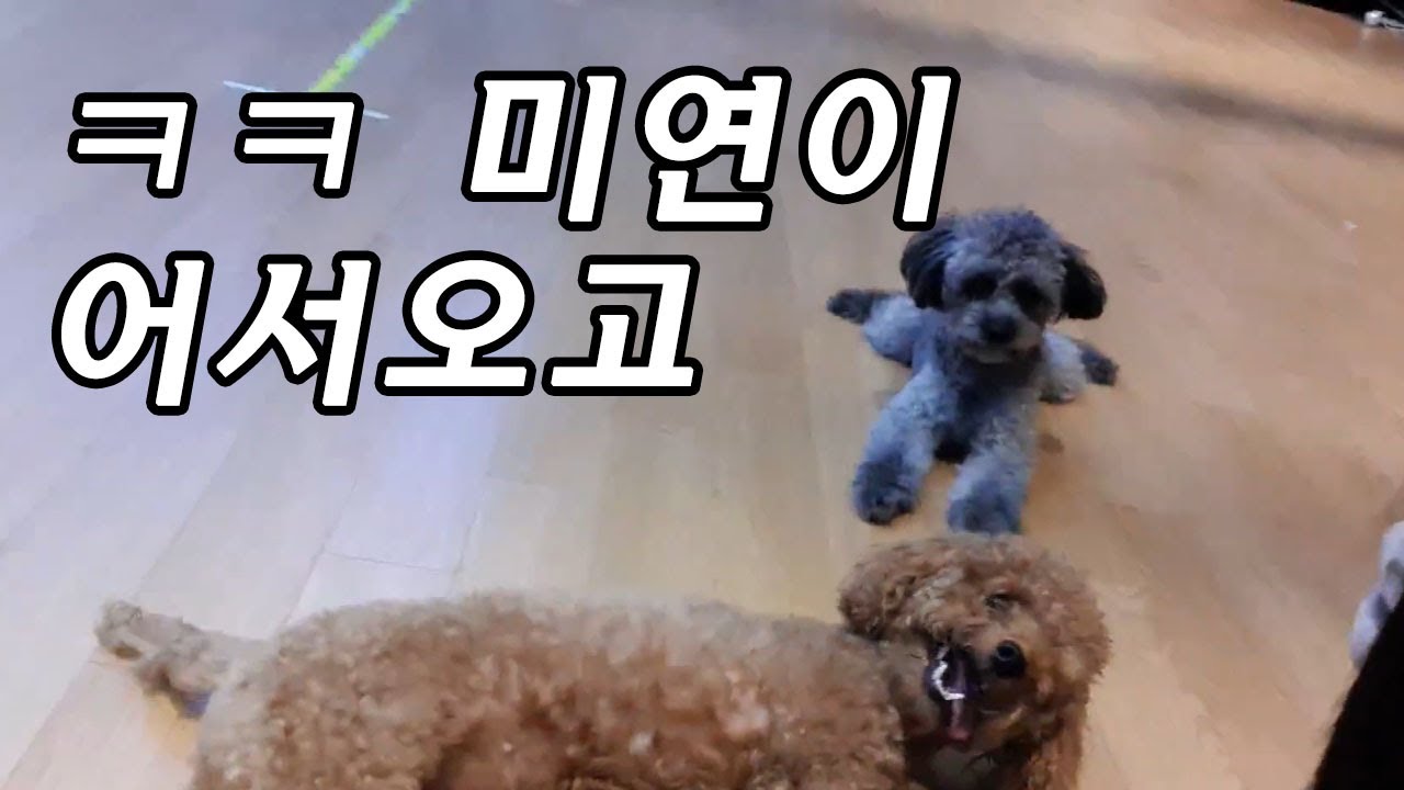 (여자) 아이들- 세상에 나쁜 하쿠&마타는 없다