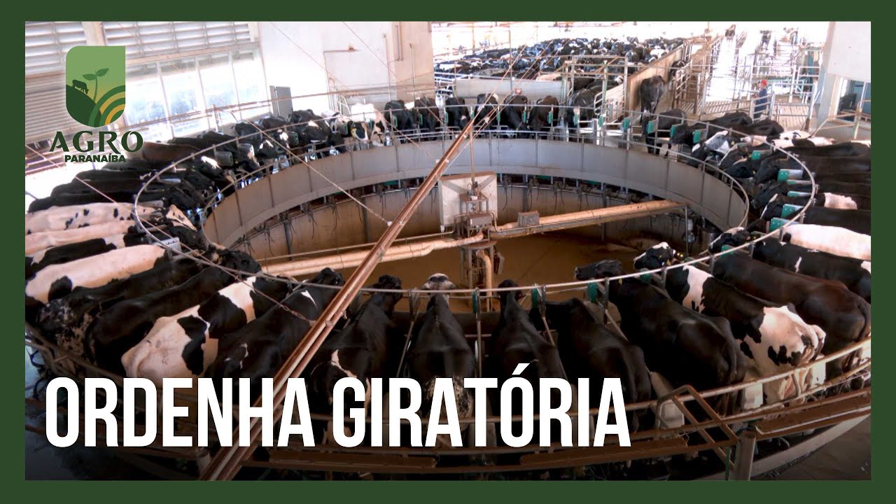 Ordenha girat&oacute;ria revoluciona produ&ccedil;&atilde;o leiteira no Tri&acirc;ngulo Mineiro | Agro Parana&iacute;ba