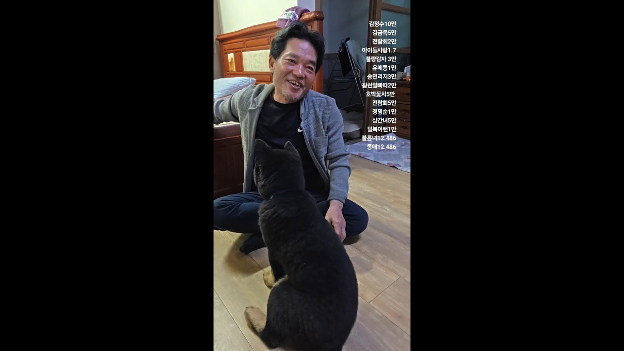 추자도 감성돔 낚시