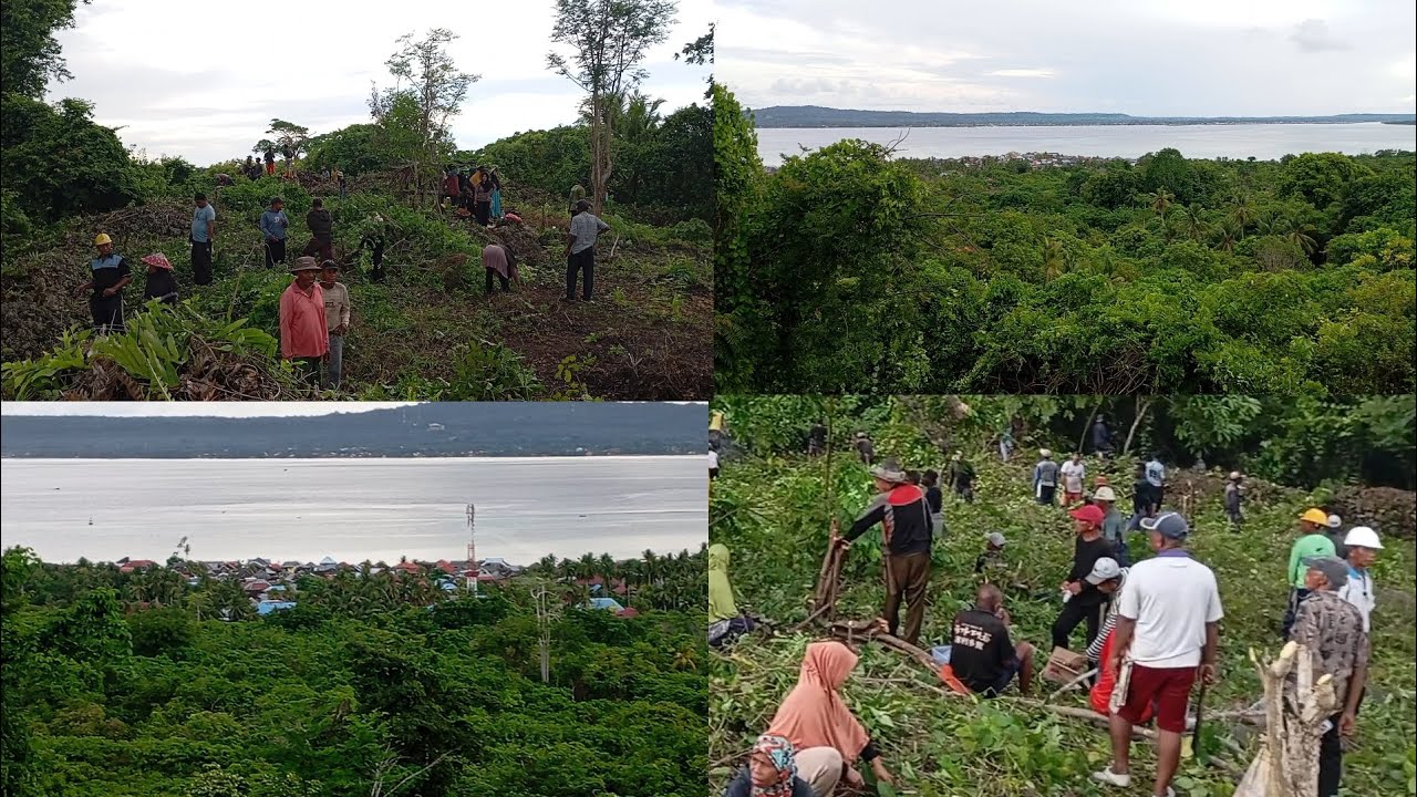 Gotong royong Membersihkan situs sejarah, benteng katiama yang ada di pulau kapota