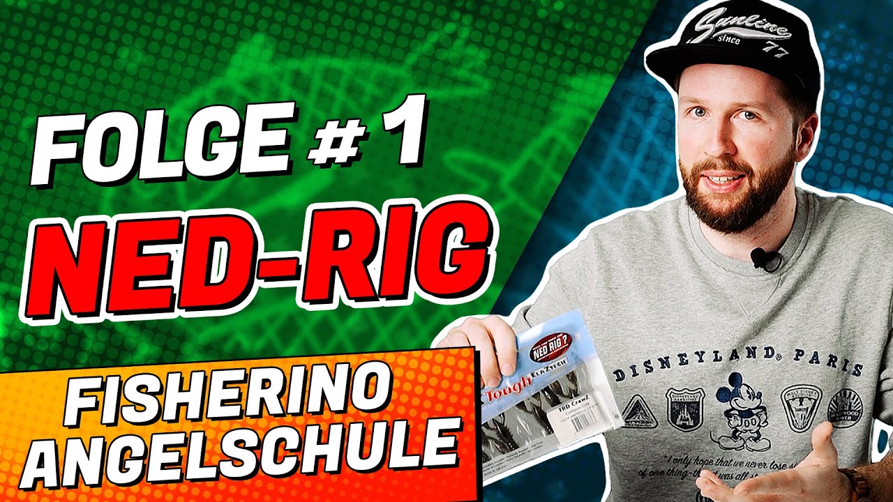 Das NED-Rig angeln! / Angeltechnik für den Winter