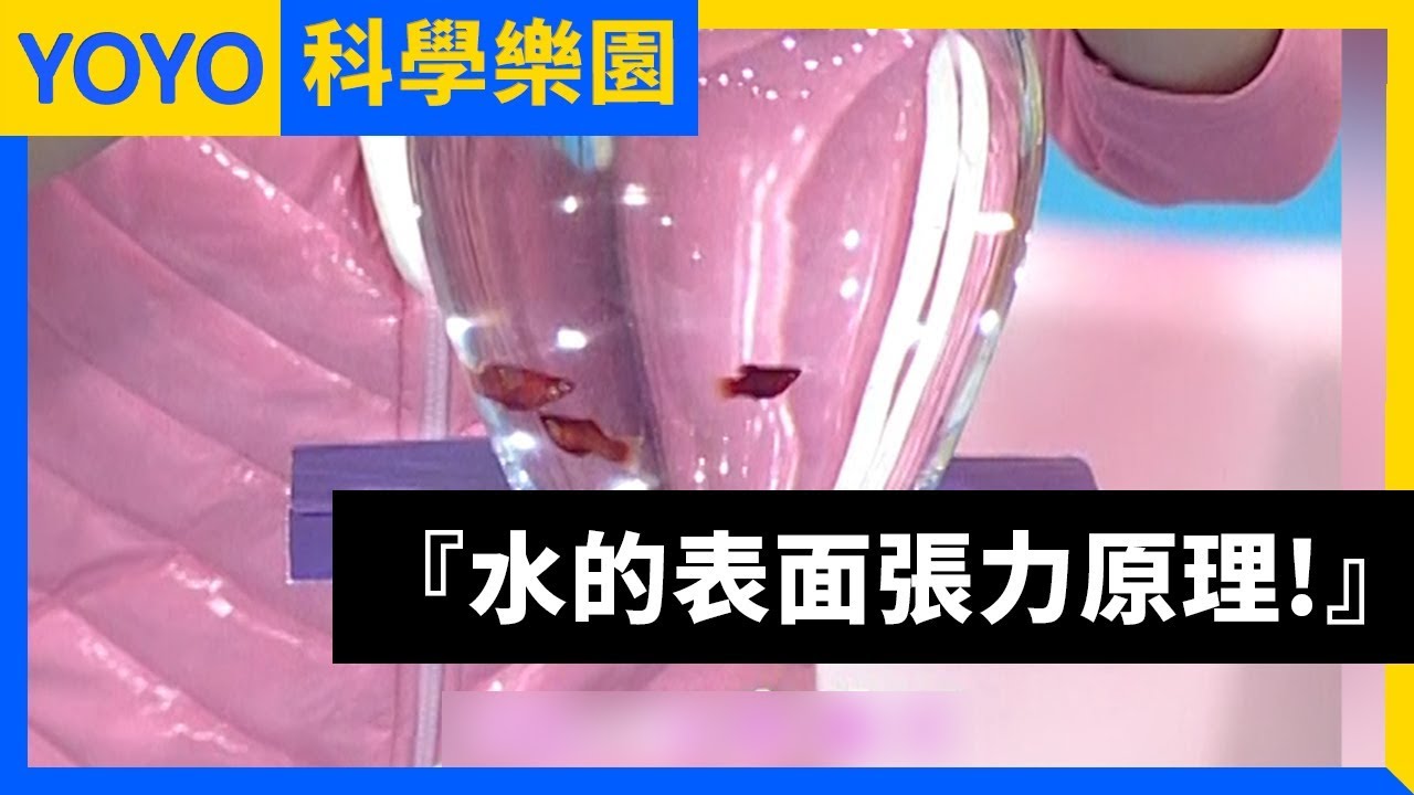 【什麼是水的表面張力？】YOYO科學樂園｜第1-9季 第44集｜香蕉哥哥｜科學｜知識｜兒童節目