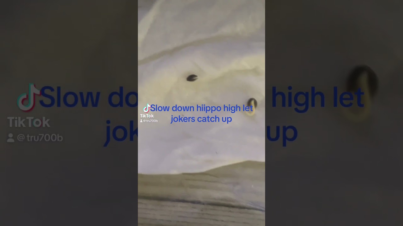 #dwcs #autoflower#hydroponics