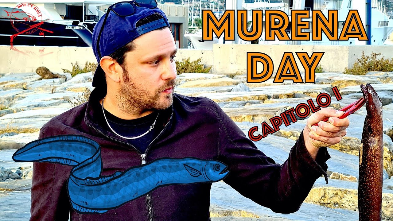 MURENA DAY (Capitolo I) - CATTURA e Pulizia PROFESSIONALE Grosse Murene (feat. TANO Re di Serpenti)