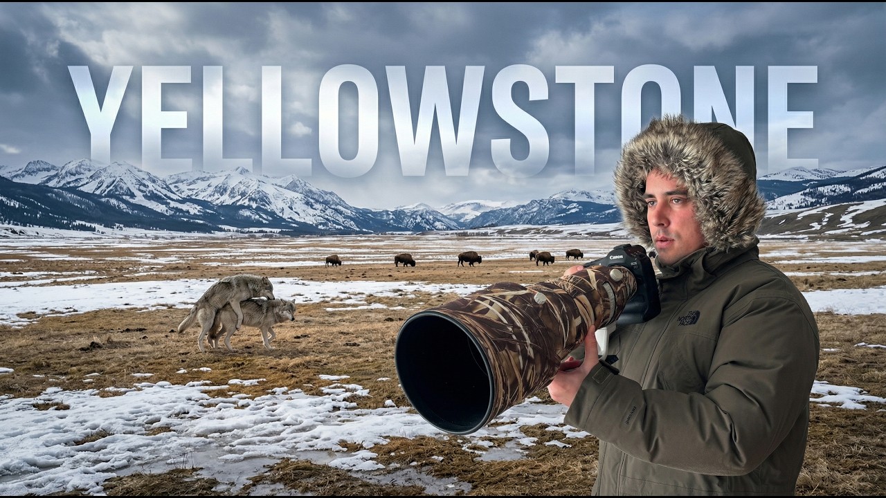 Nunca me Imagin&eacute; vivir esto en mi viaje a YELLOWSTONE
