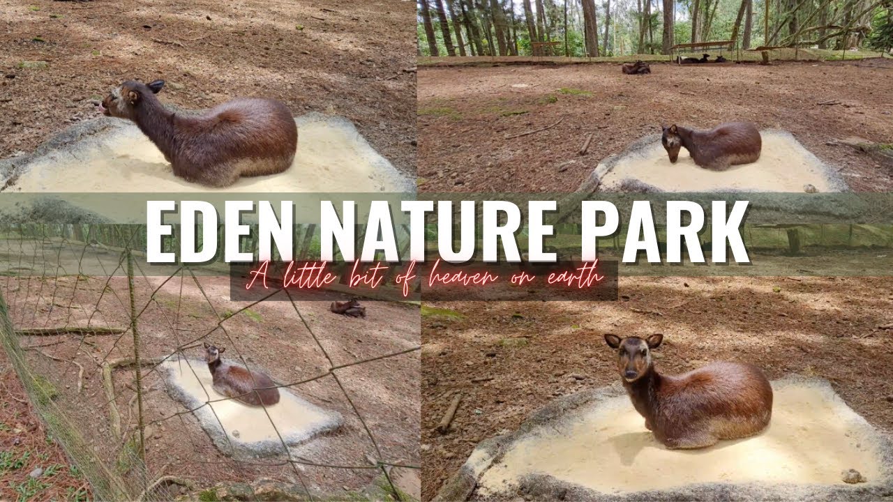 Eden Nature Park & Resort | Nature Trekking | PART 1