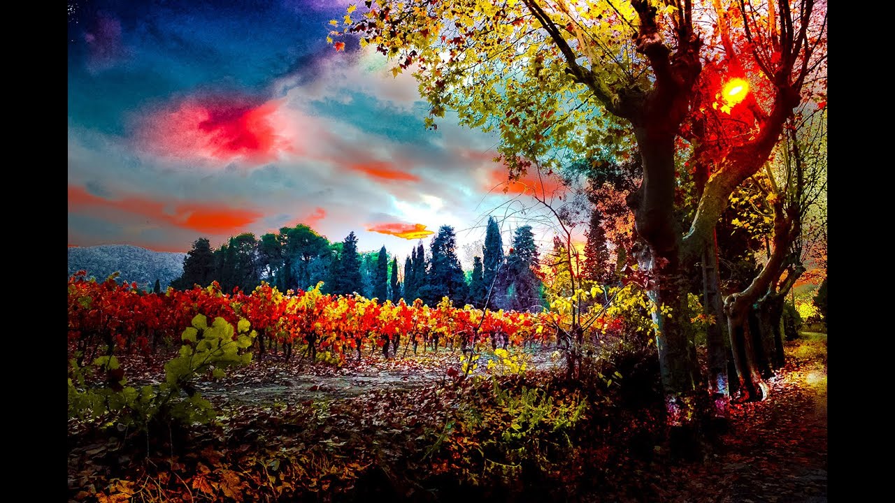 Automne dans les Corbières, Aude; Occitanie.