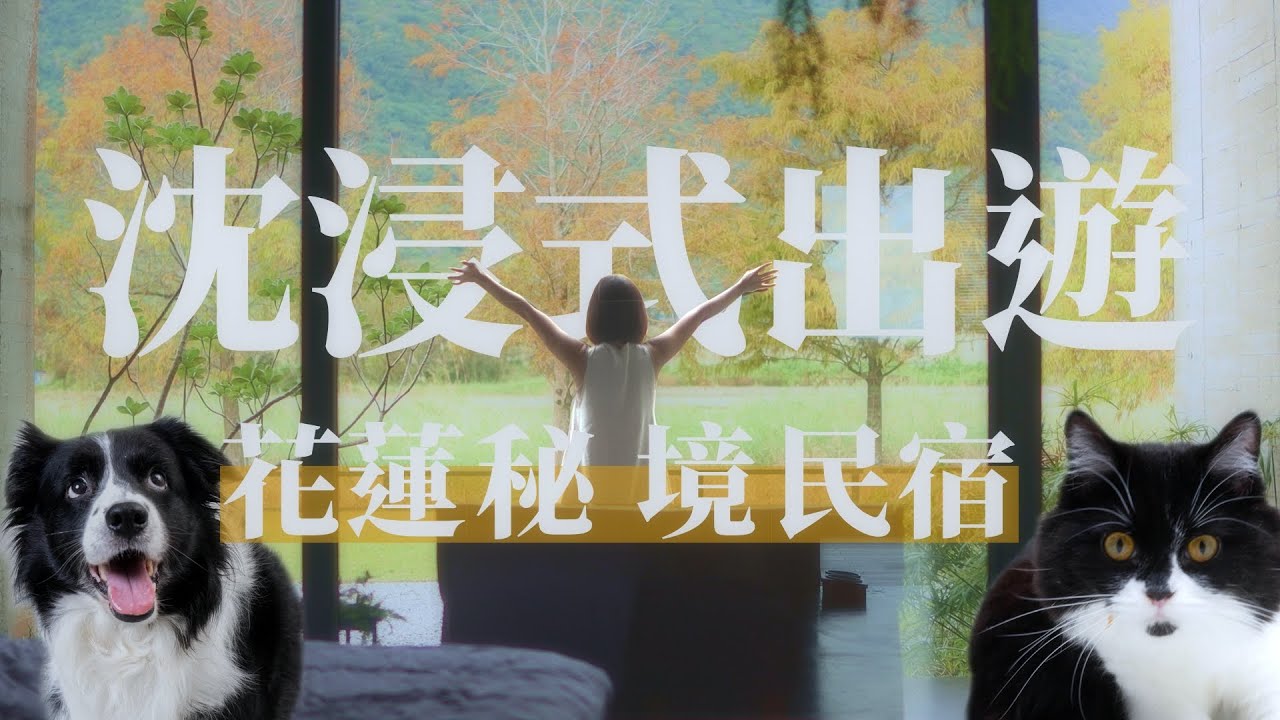 花蓮秘境｜讓室內設計師讚嘆｜小巧但功能性極佳的寵物友善民宿｜《那些年總監帶我住過的地方》