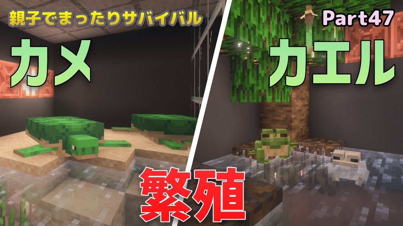 【Java版1.21.11】カメとカエルの繁殖 - 親子でまったりサバイバル Part47【マイクラ】