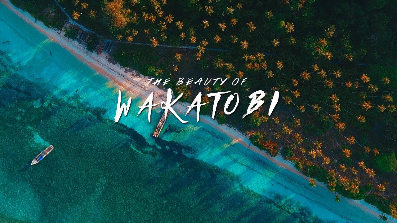 THE BEAUTY OF WAKATOBI - SULAWESI TENGGARA, INDONESIA