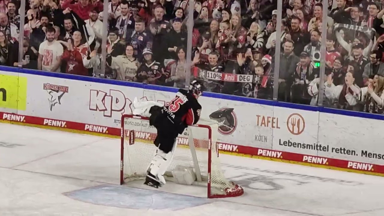 Derby Sieger Kölner Haie - 24.11.2024