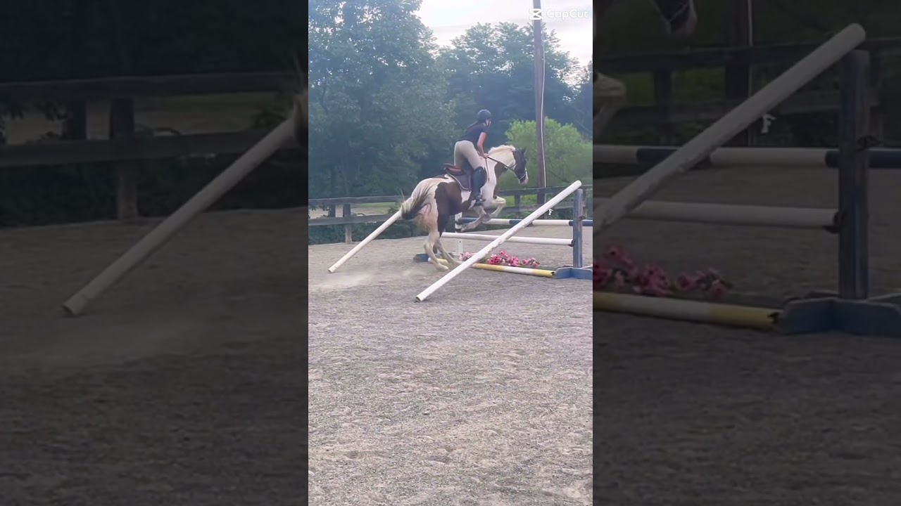 just ignore the eq | 