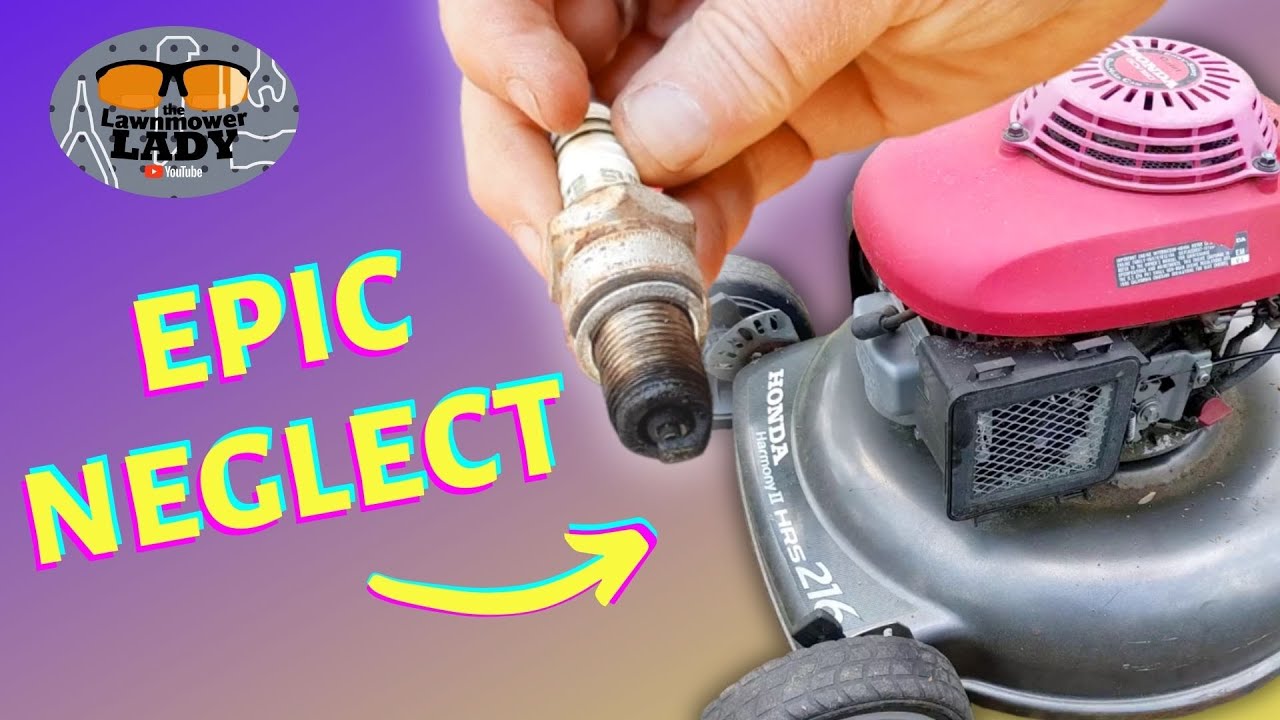 Neglected Honda Harmony HRS216: Complete Service