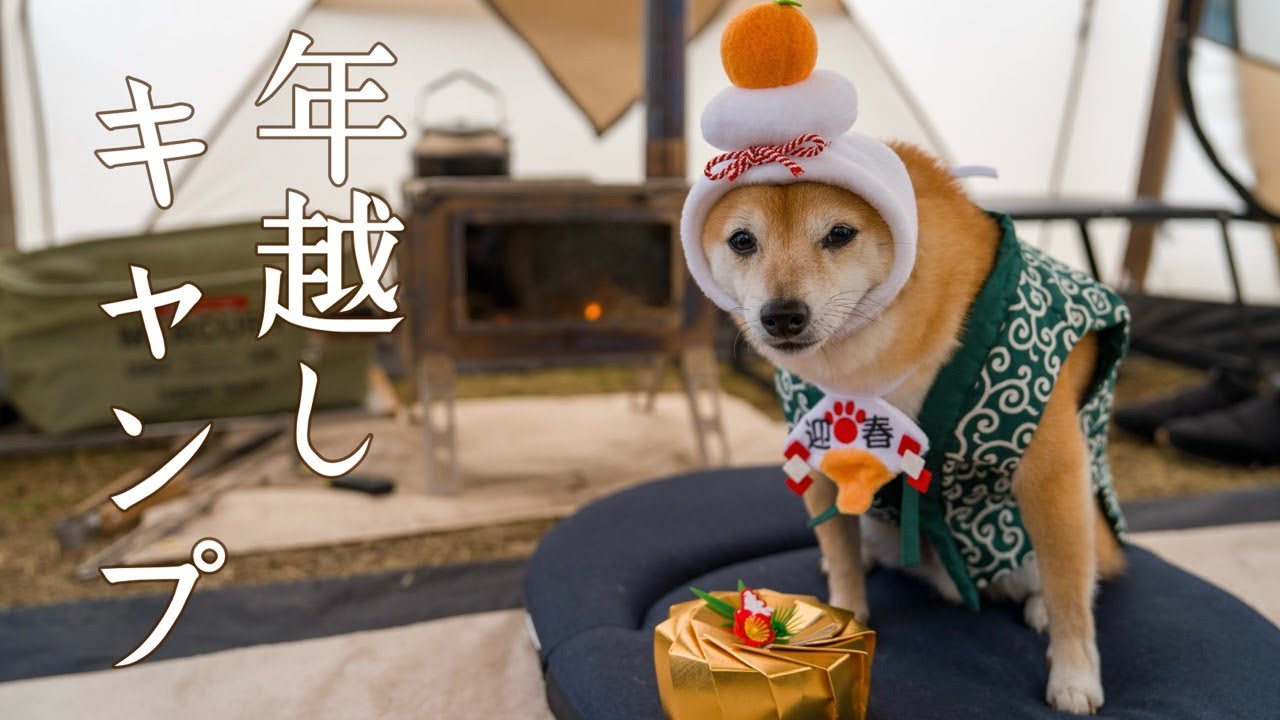 【犬連れキャンプ】食べたいものをひたすら食べる年越しキャンプ｜かもしか葛川森のキャンプ場（滋賀）