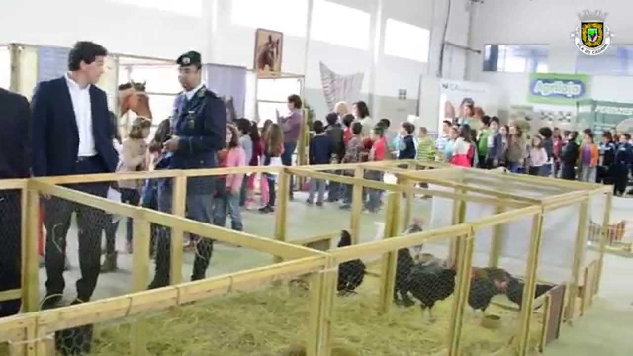 Ca&ccedil;agro 2015 - Cadaval